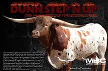 DUNN STEP'N UP