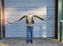 86" tip-to-tip steer mount